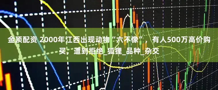 金顶配资 2000年江西出现动物“六不像”，有人500万高价购买，遭到拒绝_狐狸_品种_杂交