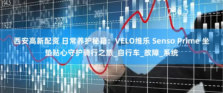 西安高新配资 日常养护秘籍：VELO维乐 Senso Prime 坐垫贴心守护骑行之旅_自行车_故障_系统