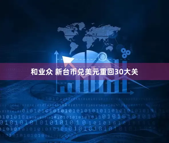 和业众 新台币兑美元重回30大关